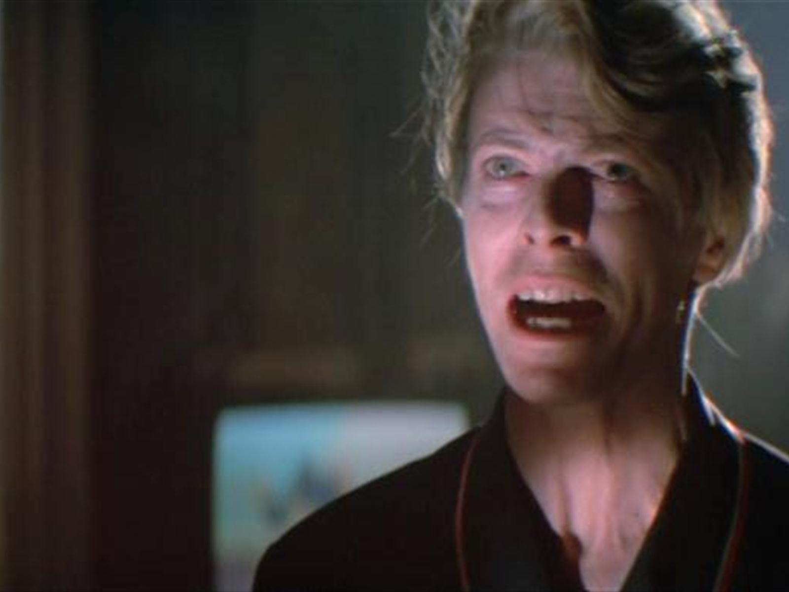 the hunger 1983 fandango the hunger 1983 fandango