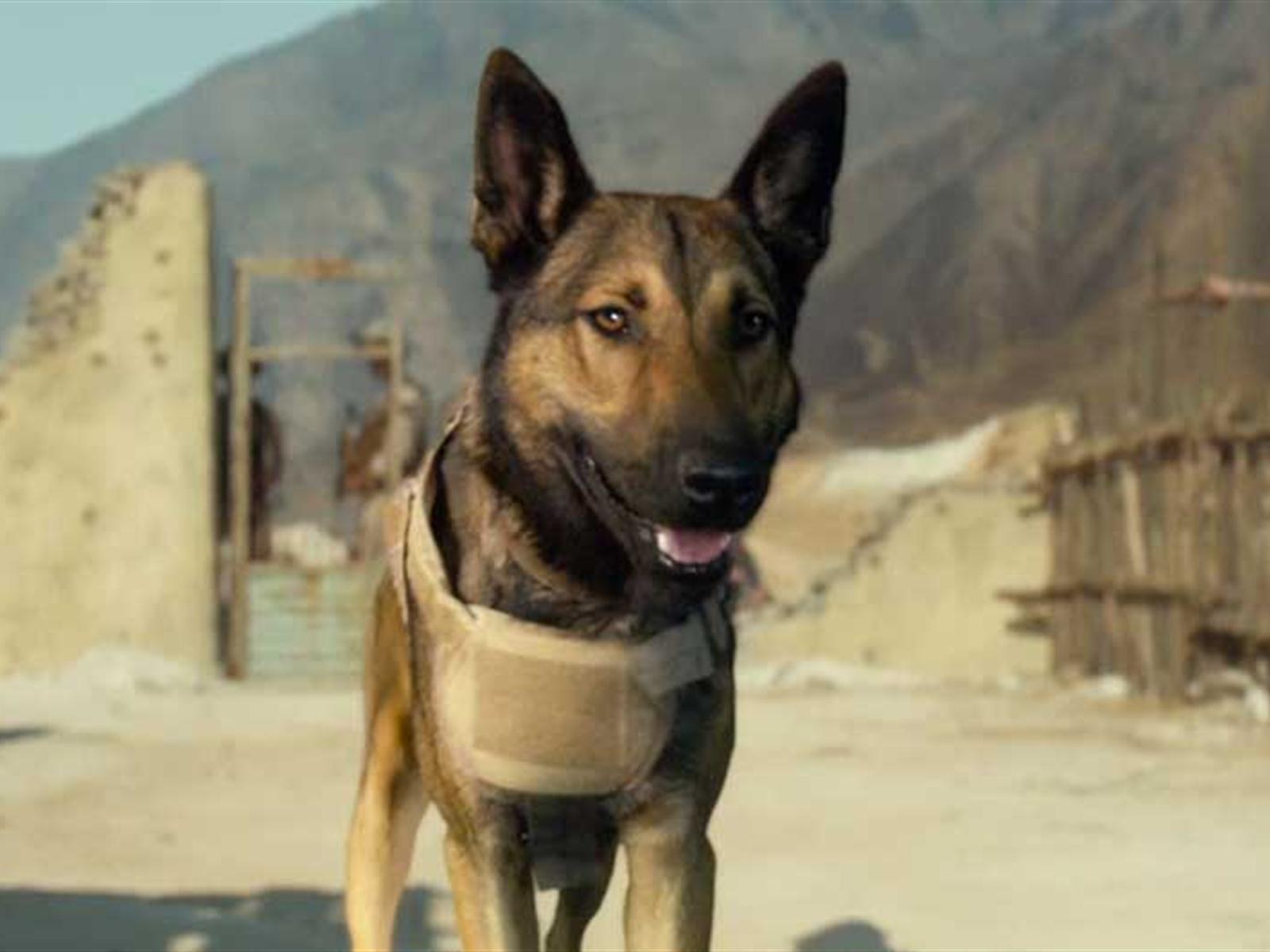 Max: Exclusive Max - Dogs of War Featurette - Fandango